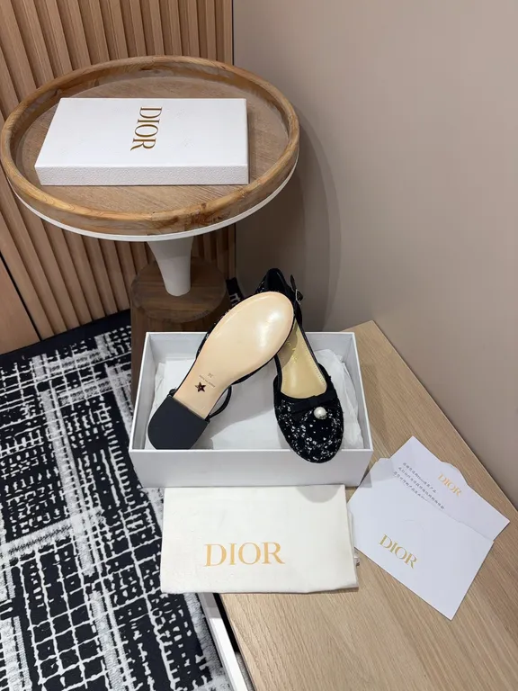 Dior Shoe 